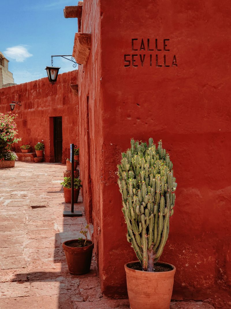A red wall and a plant pot on Calle Sevilla